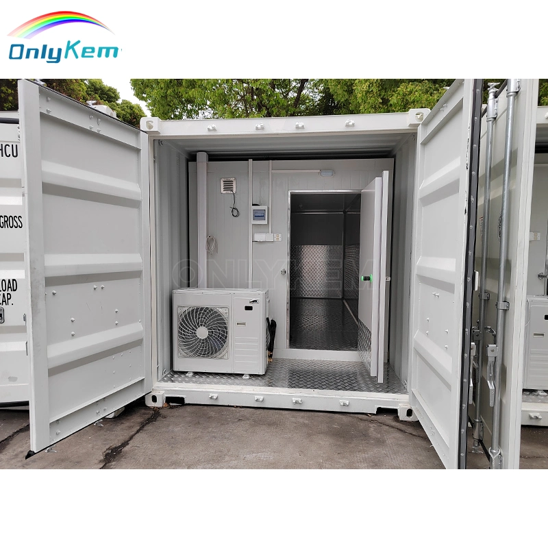 20 Feet Non-Fixed Place Cold Storage Container Cold Storage