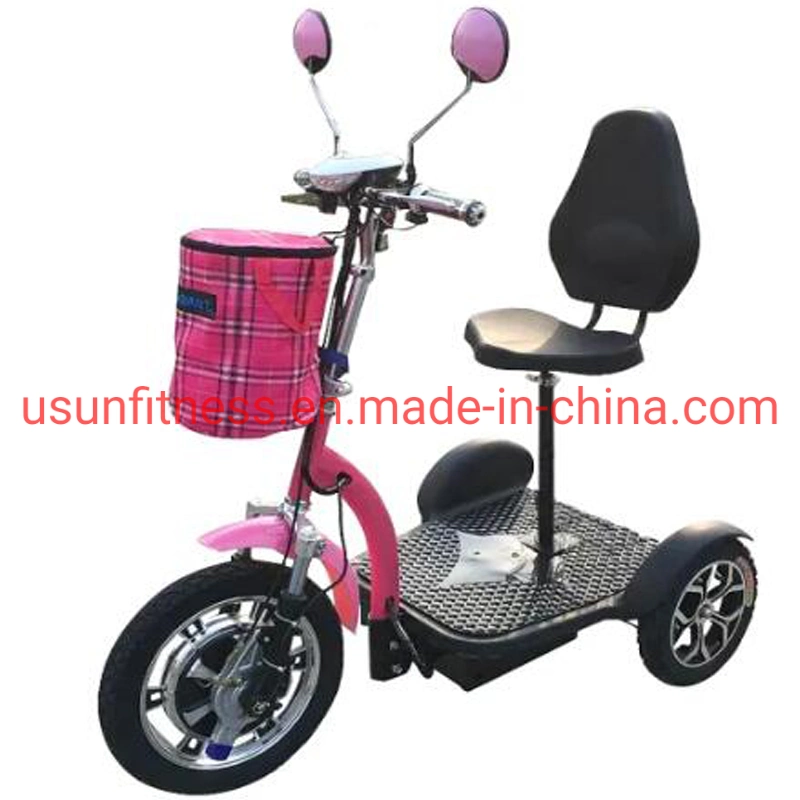 Triciclo eléctrico de 3 ruedas barato bicicleta triciclo de carga de la carga de bicicletas con CE