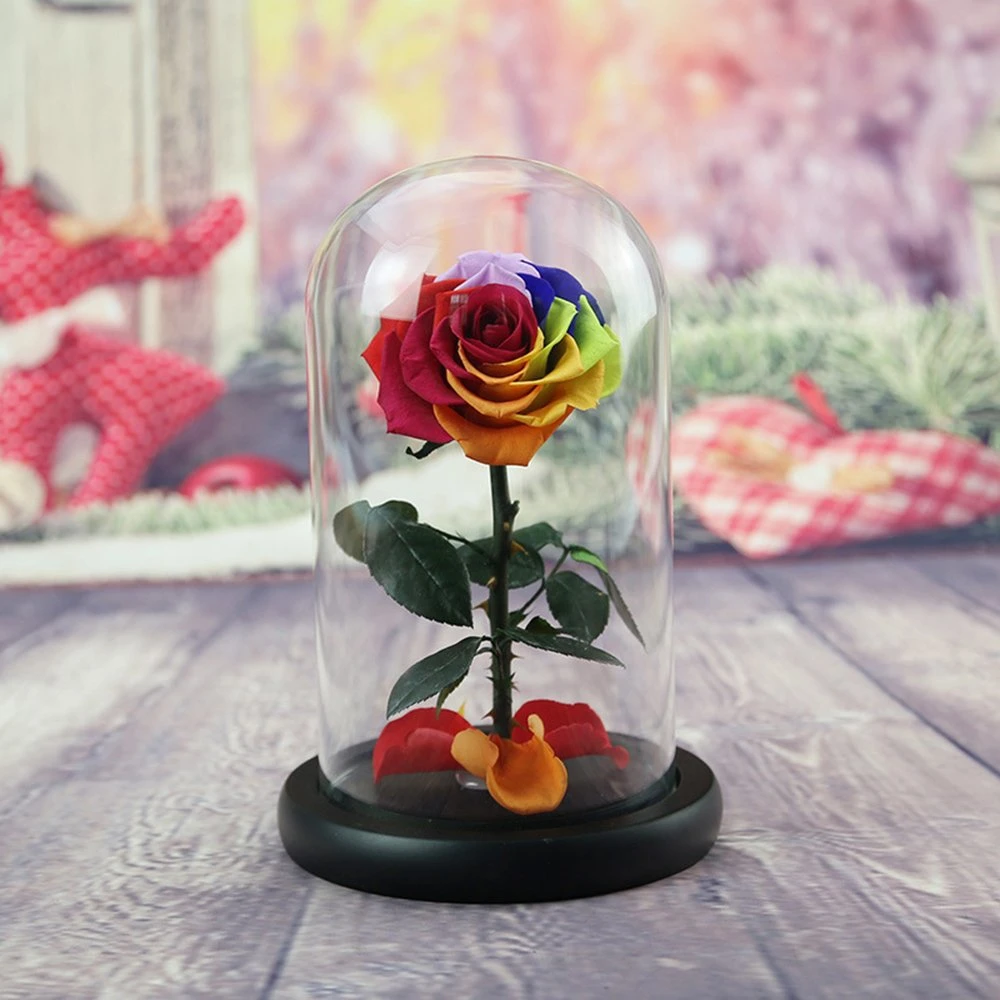 Preserved Rose Flower Customized Colors Preserved Roses Wholesale Rose Dome Preserved Preserved Flower in Acrylic Box