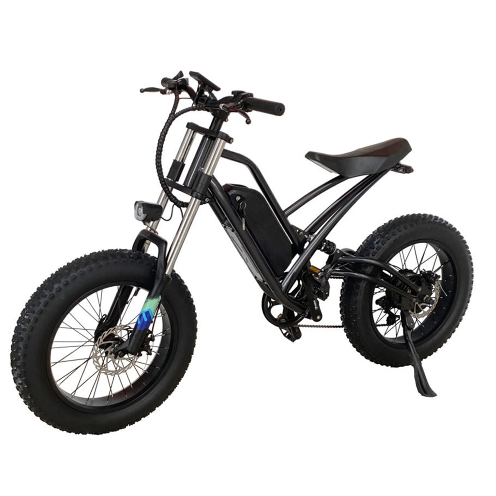 Free Shipping From EU Stock High Performance CE 65km 1000W 16ah 23 Ah E Bike 26 Inch Fat Tire Snow Outdoor Electric Bicycle