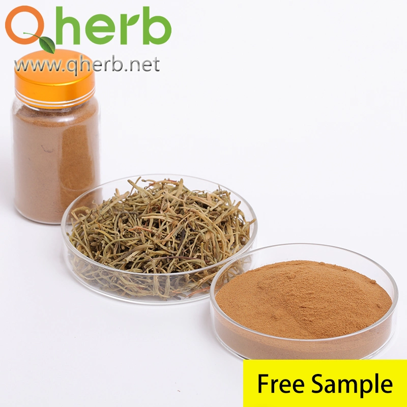 100% Natural Organic Chinese Medical Herb Chlorogenic Acid Honeysuckle Flower Lonicera Japonica Extract Free Sample