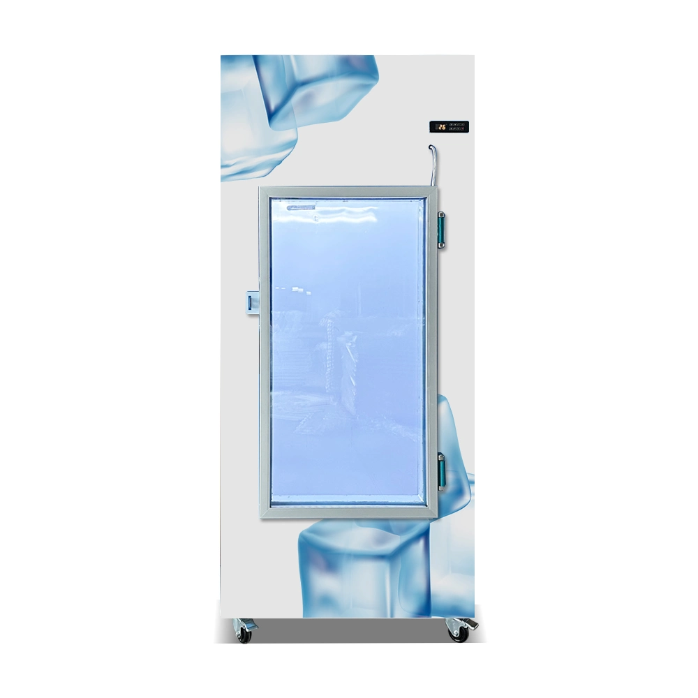 Saudi Cold Wall Glass Door Ice Machine Storage Bin