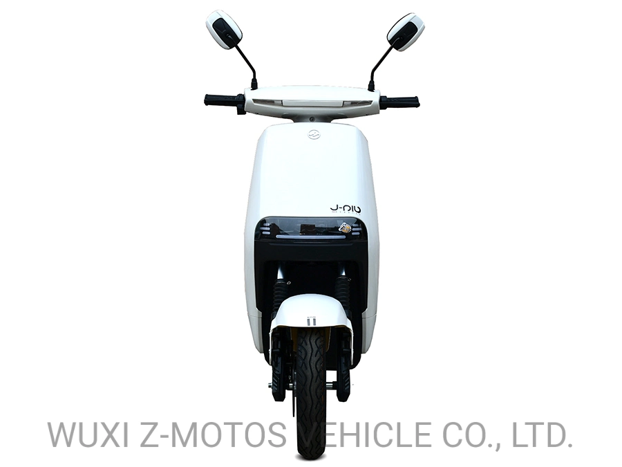 Popular motocicleta eléctrica con motor 800W -2000W