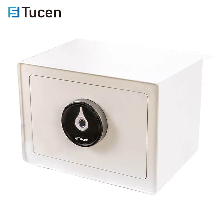 Customization Small Safe Biometric Box Mini Security Fingerprint Safe