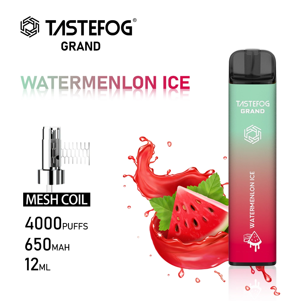 Chine Vente en gros E cigarette électronique 4000 fume Vape jetable Stylo Hookah pour les couches