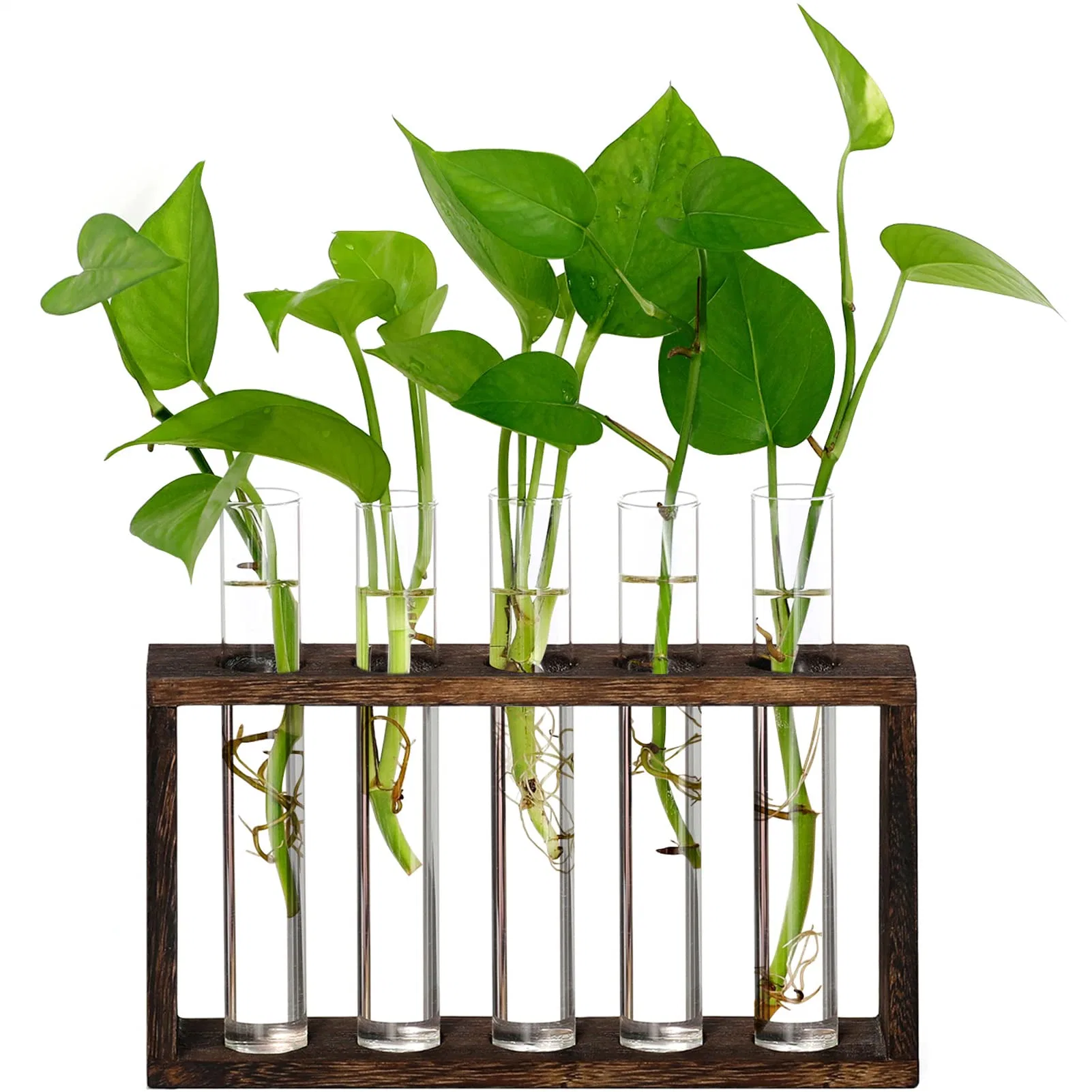 5-Test Tube Propagation Station Glass Planter Terrarium Hydroponics Water Plants Wooden Stand