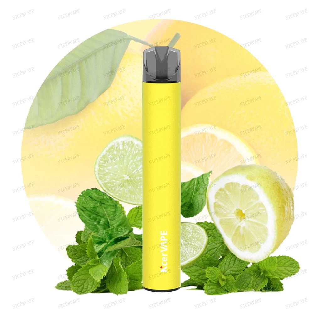 Energy Drink Fruit Flavor Mini Electronic Cigarette 600 Puffs Wholesale Vape Pen