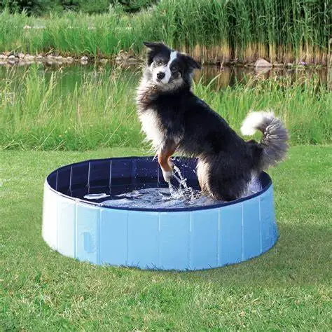 Vc Foldable Pet Swimming Pool Outdoor Bathtub with Protective Lining for Dogs and Kiddies