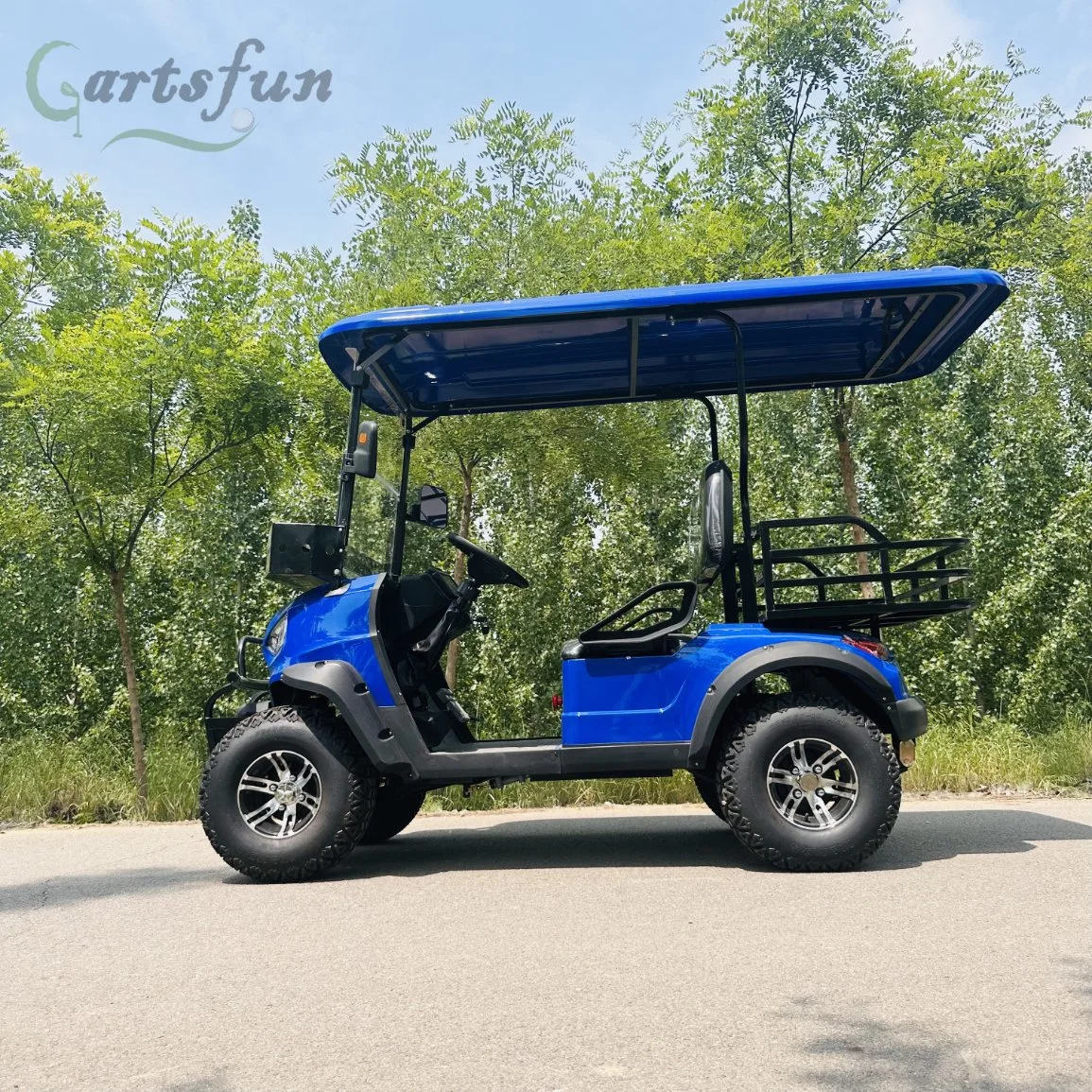 Factory 2+4 Seat Sightseeing Bus Club Cart Gas Golf Buggy Hunting Car