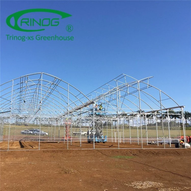 Commercial Film High Tunnel Multi-span Greenhouse