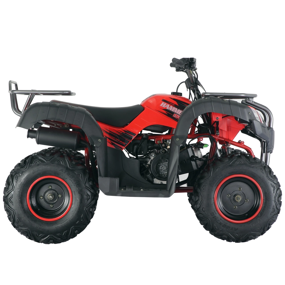 Fun 150cc Electric Start Gasoline Kids Quad Atvs