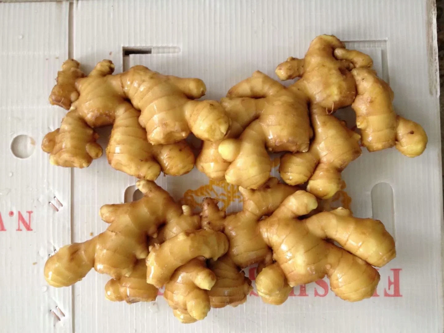 Fresh Ginger and Air Dry Ginger with Certificate Top Quality