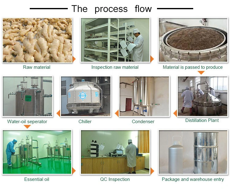 Abastecimento de fábrica óleo de gengibre Natural Fragrâncias óleo essencial com volume Preço