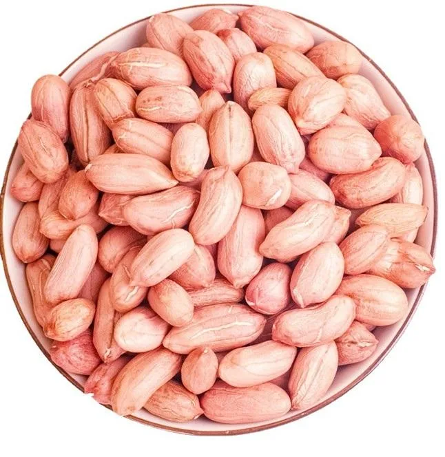 China Peanut Big Size Peanut Kernel Red Skin Cheap Price Good Quality