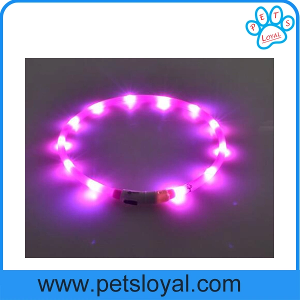 Amazon Standard Large Battery Rechargeable LED Pet Dog Collar Manufacturer