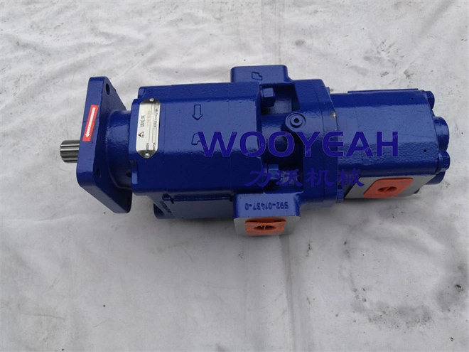 4120006298 1124232290 Gear Pumpssdlg L958f L968f Radlader Ersatzteile