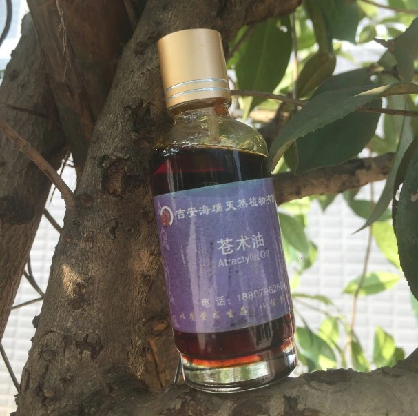 Wholesale/Supplier Essential Pure Atractylis Oil