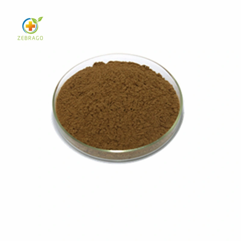 Best Quality Wort Extract Hypericin Low Price From Zerbago