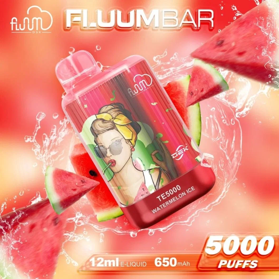 2023 Nuevo Fluum Popular Te5000 Puff Bar 0%/2%/5% nicotina desechable VAPE recargable E-cigarrillo perdido humo VAPE