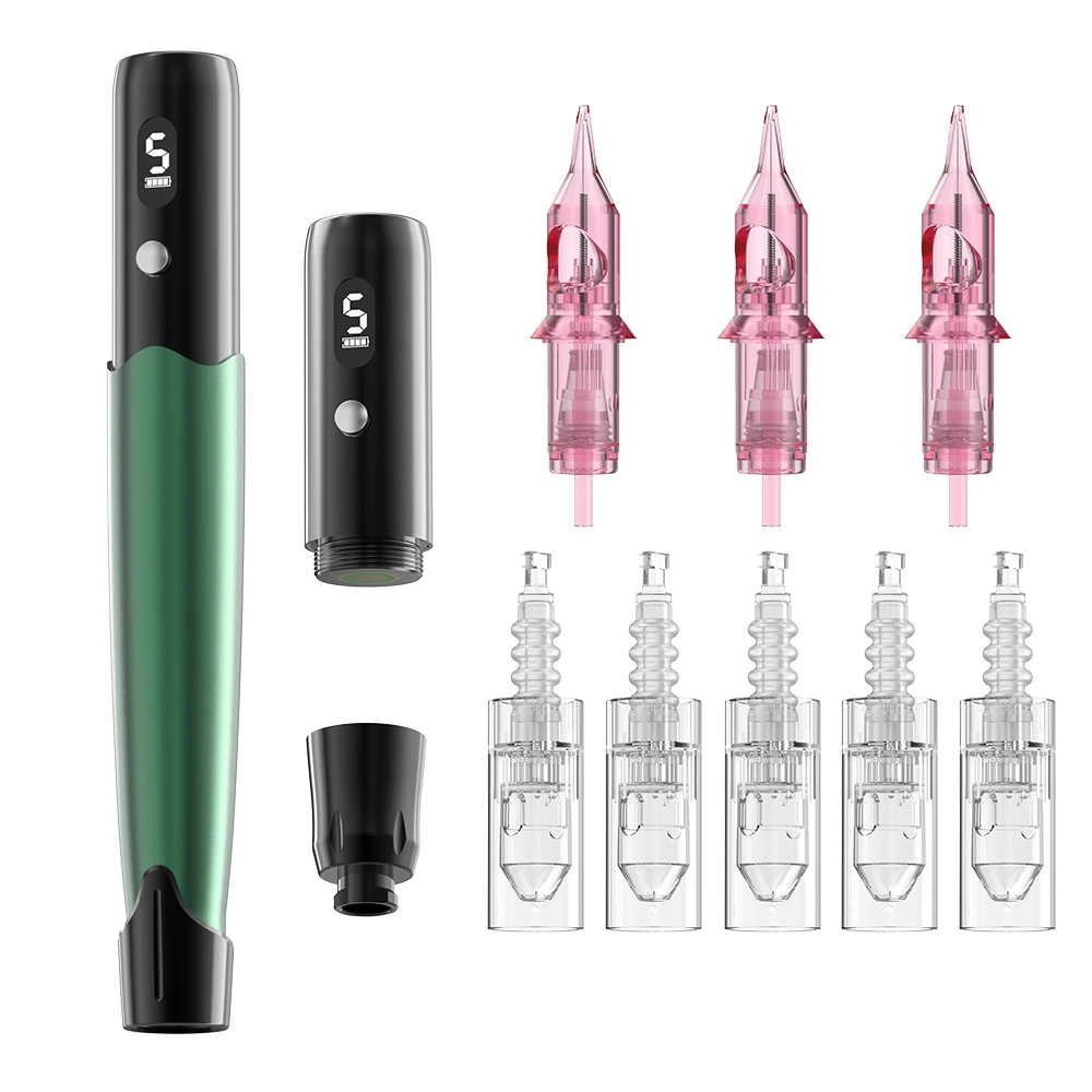 100 Set Wholesale/Supplier Permanent Makeup Tattoo Hotsale Pmu Factory Direct Pen Machine