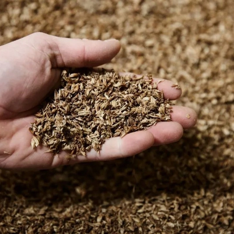 Feed Grade Factory Supply amino acidos and Trace Elements Feed (alimentação de aminoácidos e elementos de traço) Lees de cerveja com alta qualidade e preço por grosso