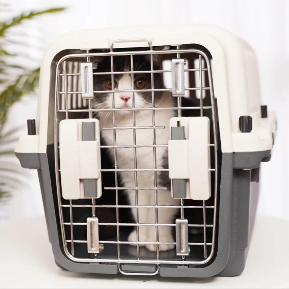 Airline Approved Xs Cat Boarding Near Me Transport Pet Cages