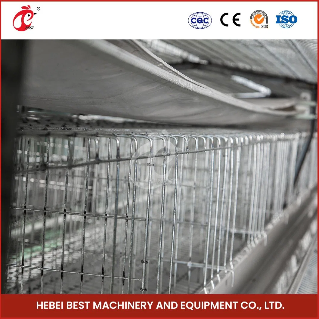 Bestchickencage H Type Chicks Cage China Baby-Rearing Pullet Chicken Cage Factory Wholesale/Supplier Convenient Catch Chicken Management 5 Layer Pullet Chicken Cage