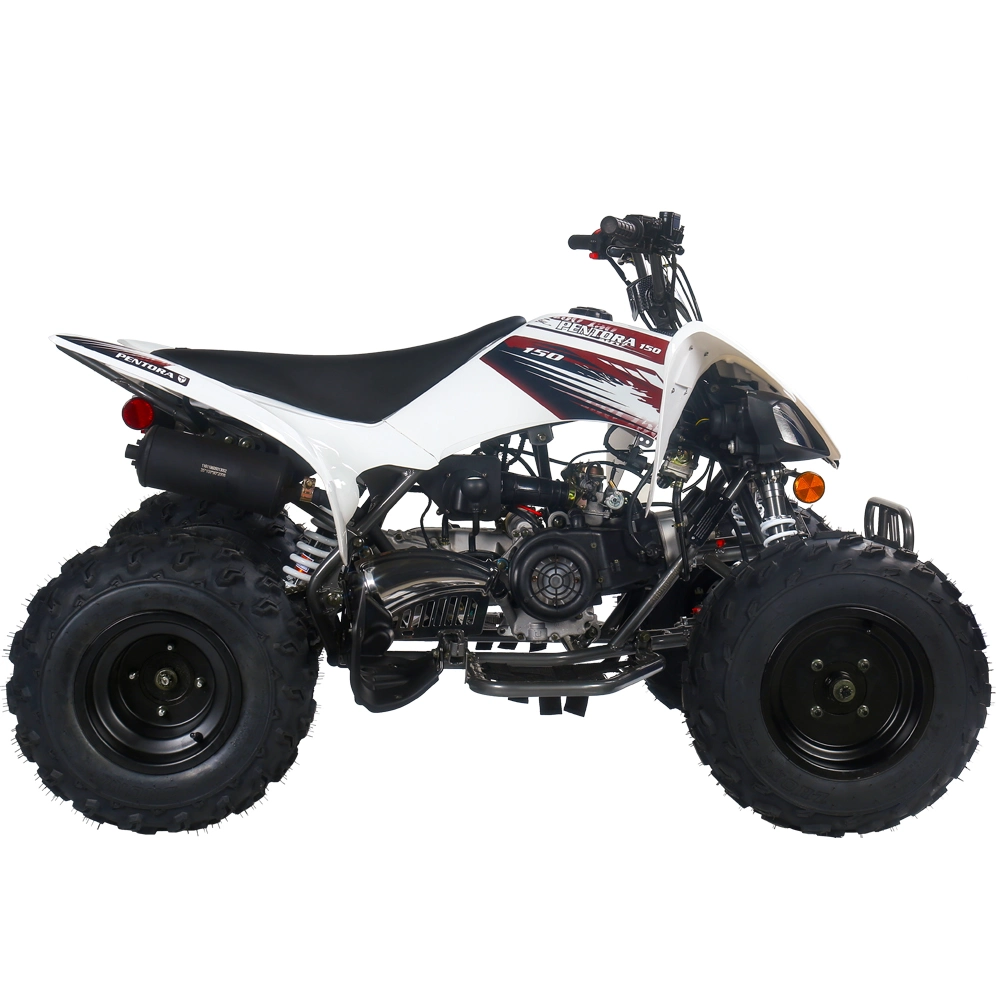 Four Stroke 125cc ATV off Road Sport Quad Bike