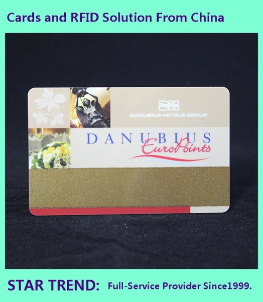 Customized Plastic Smart RFID Card Used as Membership Card, Business Card, VIP Card, Game Card, Gift Card, Plastic Smart RFID Card, NFC Card, RFID Tag