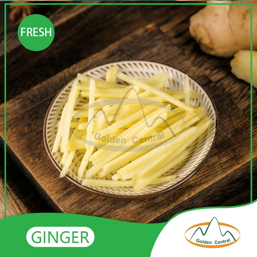 Fresh Dry Ginger Buyers for Wholesale/Supplier China Ginger for Sale Cheap Price