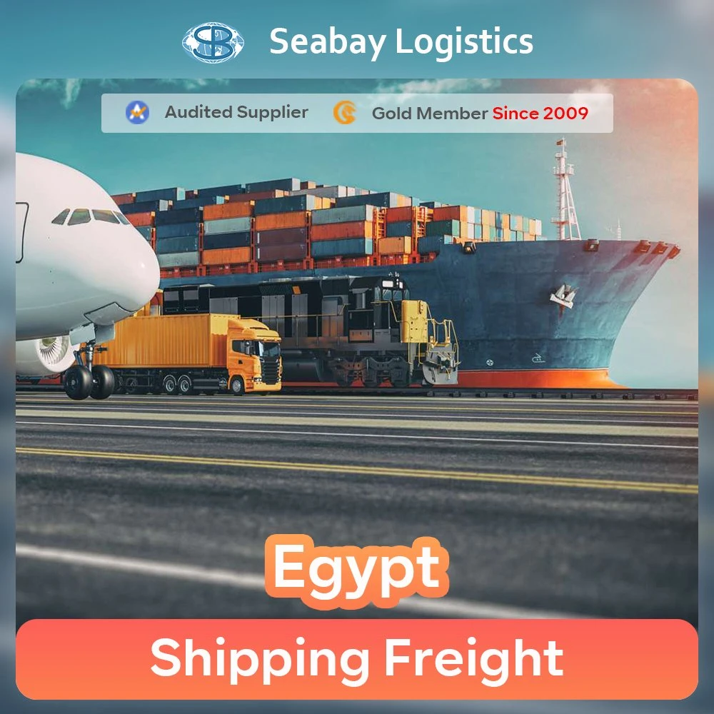 Shanghai Competitive Shipping Agent Service to Egypt or Egypt Air Sea Logistics