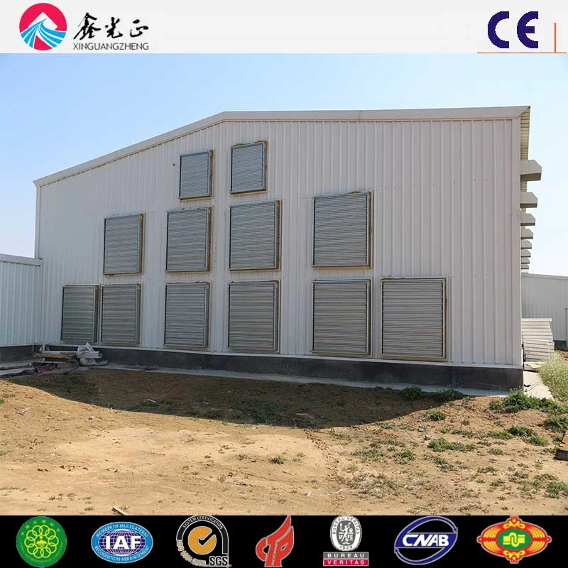 High Production Efficiency Steel Structure Poultry House for 10000 Chickens