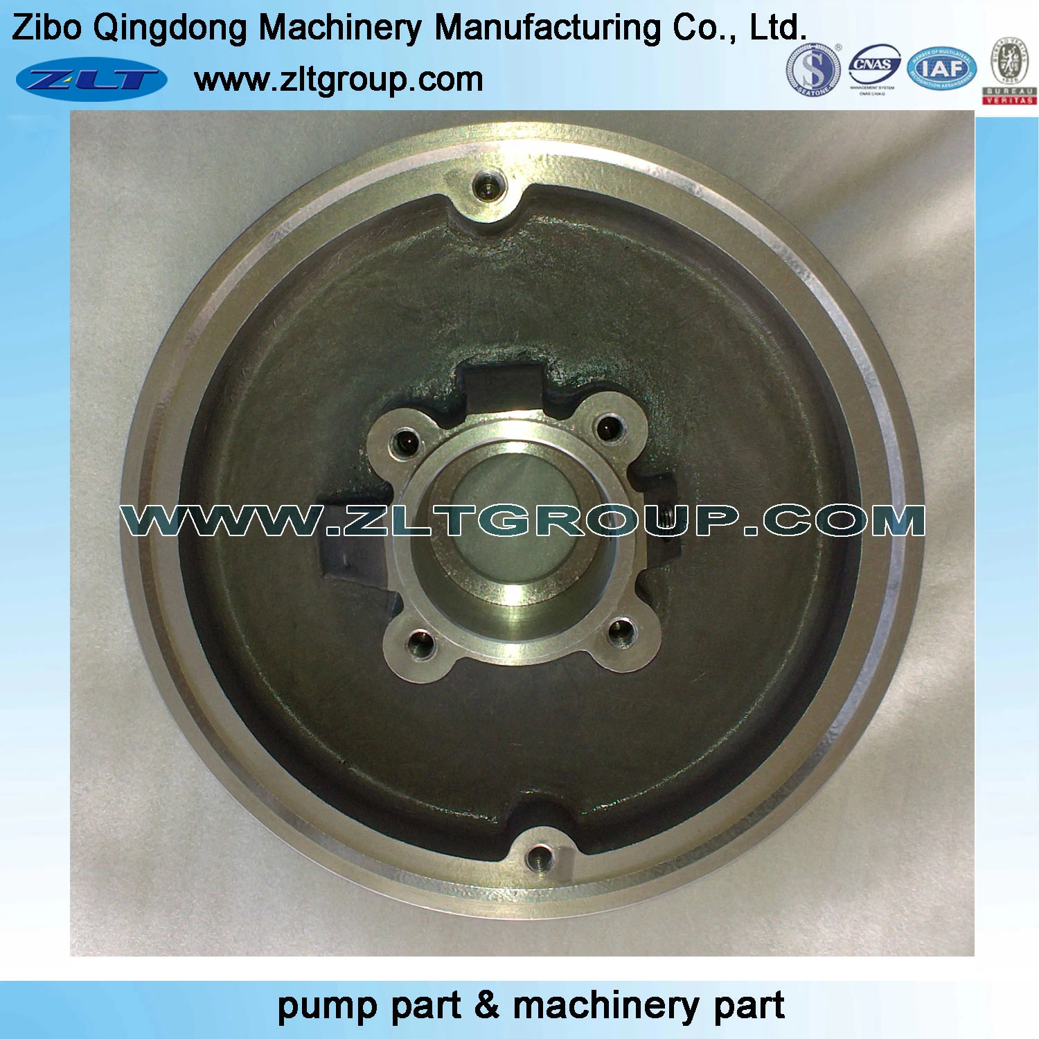 Sand Casting ANSI Chemical Centrifugal Pump Stuffing Box Cover in Titanium/Stainless Steel