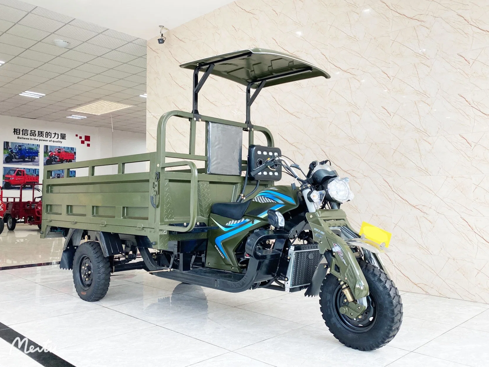 Nuevo Trike Chopper 250cc Tricycle Cargo Cargo Cargadora de pasajeros Rickshaw