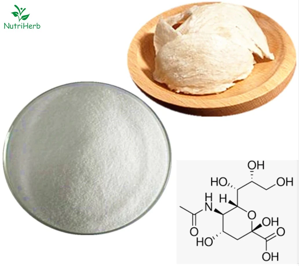 إمداد المصنع CAS رقم 131-48-6 حمض عش الطيور N-أكيتيل حمض neuraminic