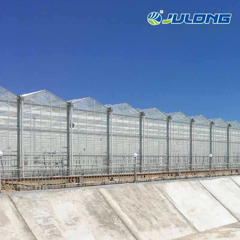 Customized Eco-Friendly Multispan Galvanized Steel Frame Polycarbonate Greenhouse