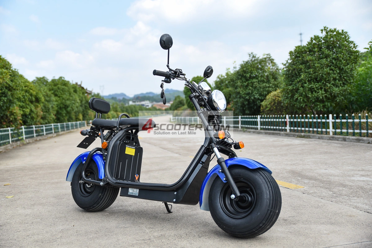 Road Legal 60V 1500W 2000W 3000W 5000W Electric Motorcycle Chopper EEC Citycoco Scooter Zhejiang Luqi Intelligent EEC Scooter