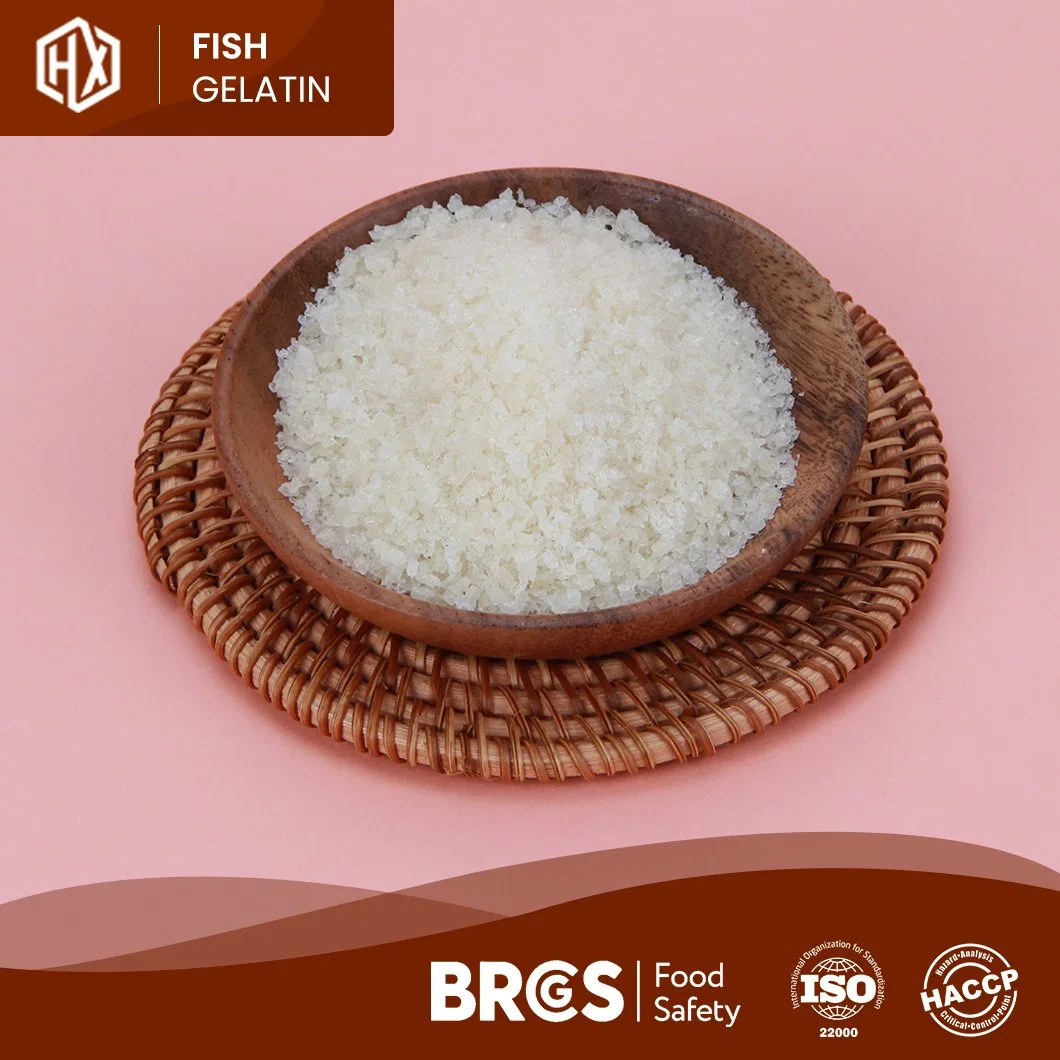 Haoxiang OEM Customized Powdered Cod Fish Skin Gelatin China Pharma Cod Fish Skin Gelatin Manufacturing Functional Food Marine Cod Fish Skin Gelatin