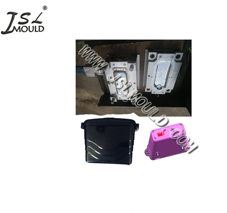 Taizhou Professionelle Herstellung Von Injektion Motorrad Seite Box Form