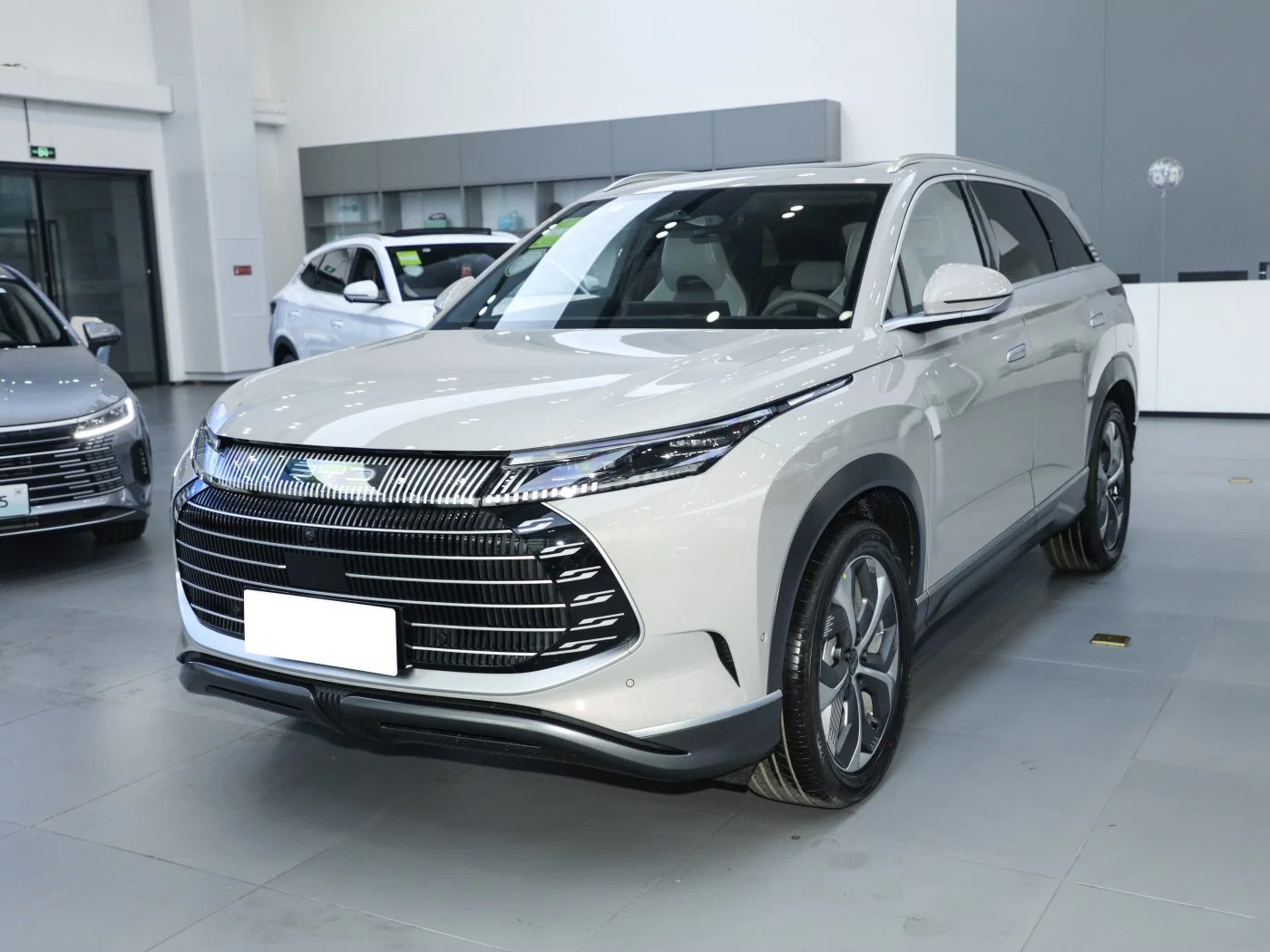 Byd Sea Frigate Sea Gull Dolphin Seal Dynasty Tang Song Yuan Qin Car Whole Sale Middle New Electric SUV Electric Car with Long Power Life Battery in Stock