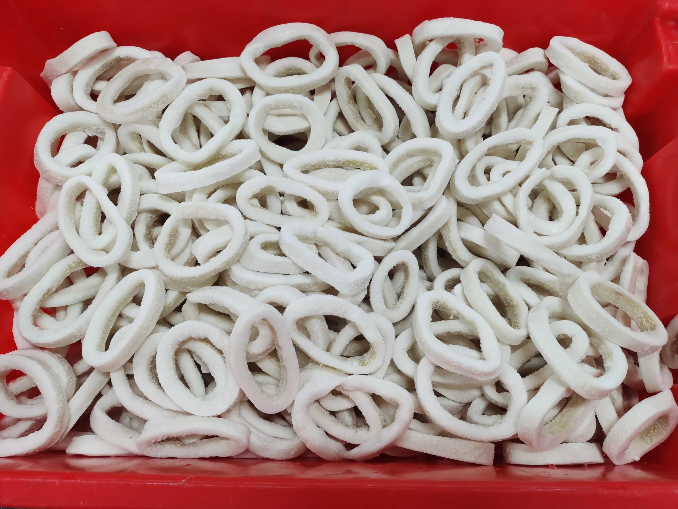 Frozen Dosidicus Gigas Squid/Calamari Ring