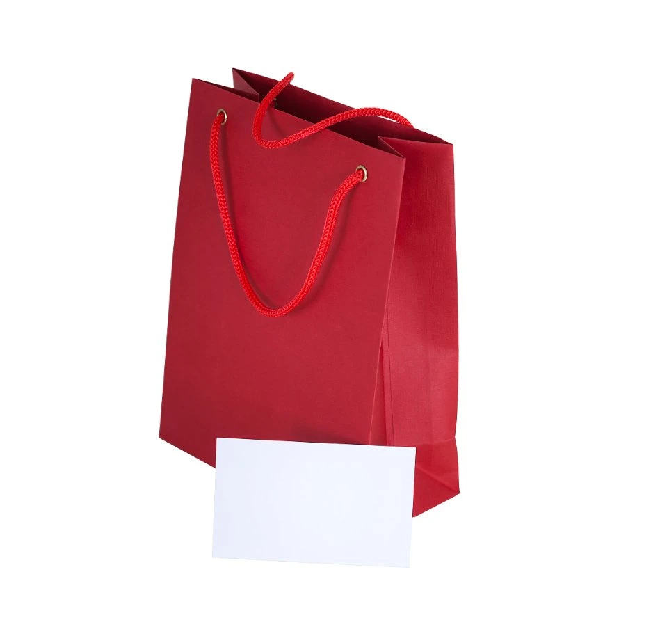 High quality/High cost performance  Custom Logo Wine Bottle Packaging Paper Bag with Handle