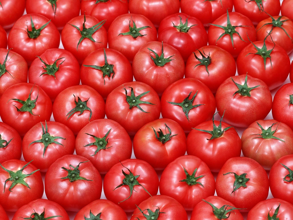 Pasta de tomate en conserva de calidad superior