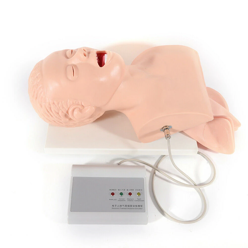 Good Price Classical Intubation Training Model