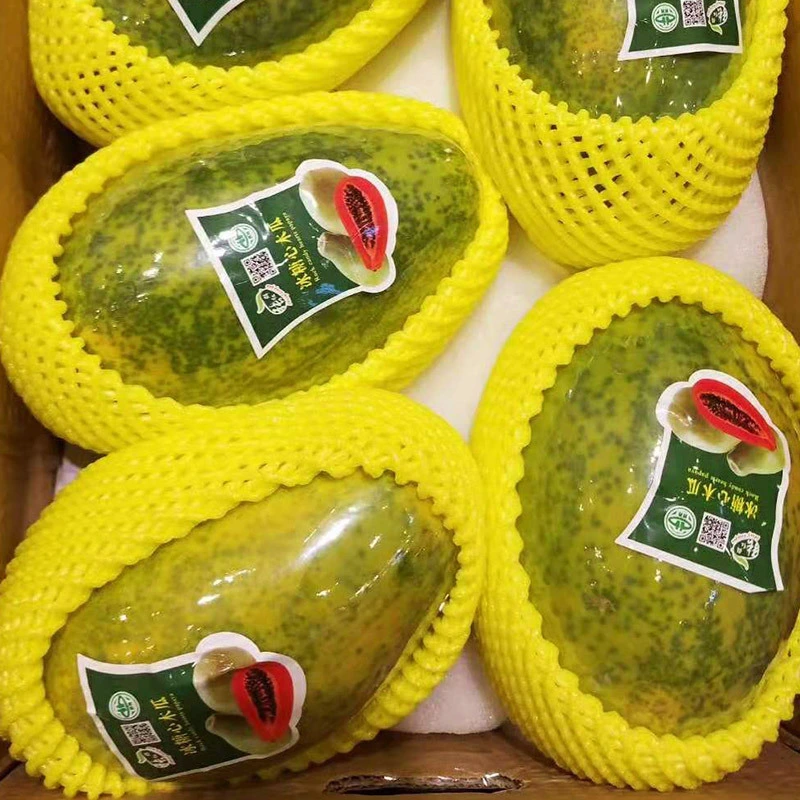 Packing Wholesale/Supplier Fruit Net Biodegradable Foam Mesh Netting Bag