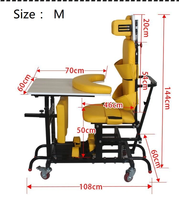 Children's Lifting Standing Training Equipment Limb Training Walking Stand