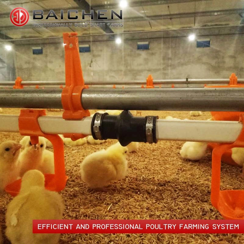 Poultry Farming Feeder Drinker Equipment for Broiler Farm