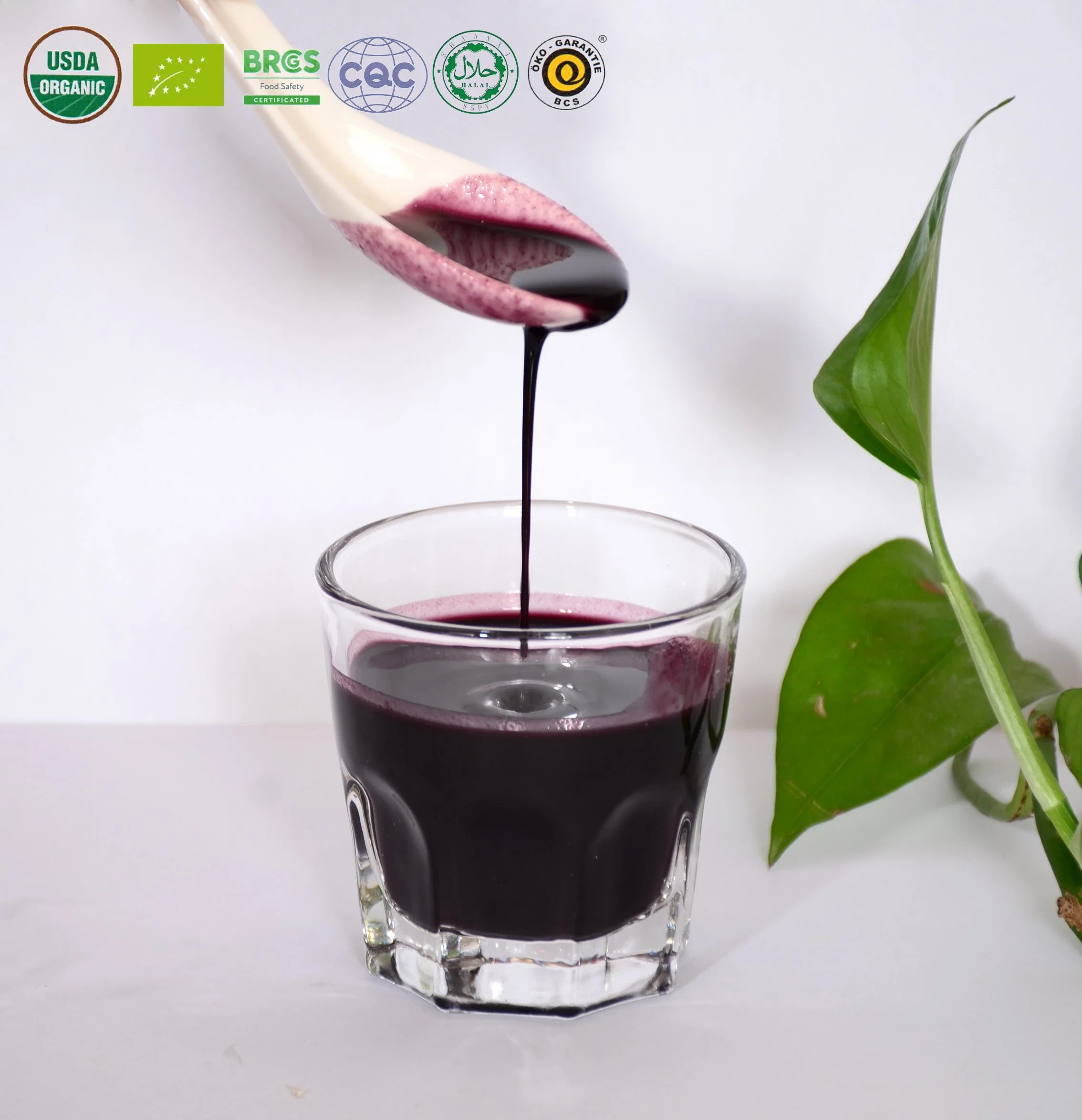 Heathy Drink Black Goji Juice From China with Brc Certificate