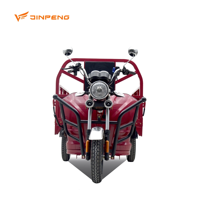 Powerful Motor Farm Use 60V45ah Electric Cargo Tricycle for Adult