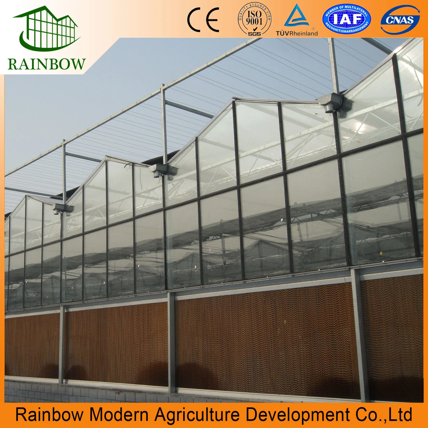 Poultry Equipment Greenhouse with Cooling Pad Hot Sale in China